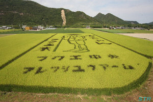 空ちゃん田んぼ2010
