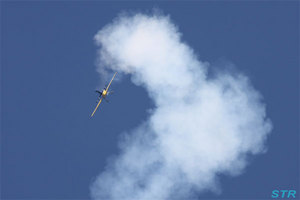 海上自衛隊徳島航空基地開隊52周年記念行事