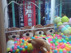 クマのフェイスクッション ゲット