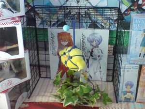 哀れなキイロイトリ