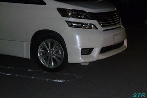 車の下の猫