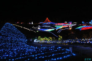 まんのう公園ウィンターファンタジー2010