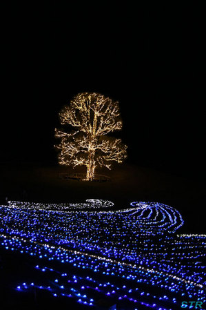 まんのう公園ウィンターファンタジー2010
