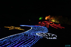 まんのう公園ウィンターファンタジー2010