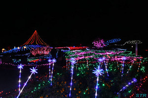 まんのう公園ウィンターファンタジー2010