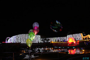 まんのう公園ウィンターファンタジー2010