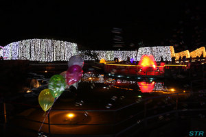 まんのう公園ウィンターファンタジー2010