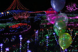 まんのう公園ウィンターファンタジー2010