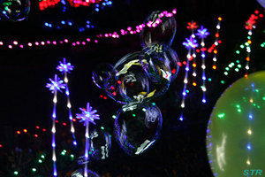 まんのう公園ウィンターファンタジー2010