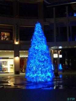 高松市三町ドーム広場のクリスマスツリー