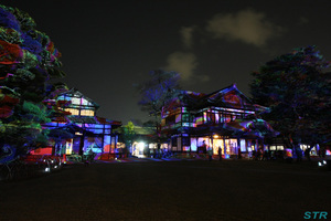 冬のひかり絵巻 in 栗林公園