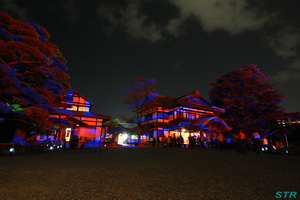 冬のひかり絵巻 in 栗林公園