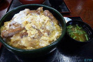 うどんバーガーとカツ丼の旅