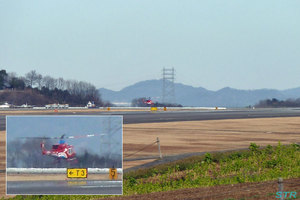 高松空港で「きび」を目撃