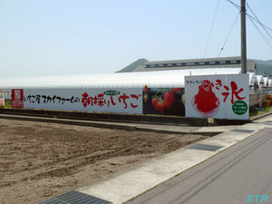 スカイファームでカキ氷を食べる