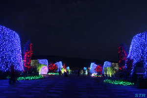まんのう公園 サマーナイトフェスティバル2011