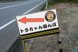 トラちゃん田んぼを見てきた