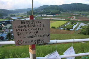 トラちゃん田んぼを見てきた