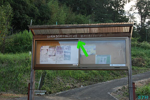 トラちゃん田んぼを見てきた