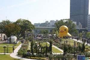 ラバーダックを見てきた