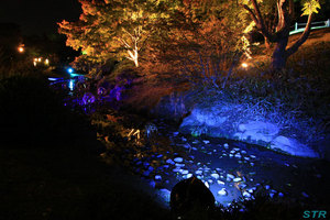 栗林公園のライトアップを見てきた