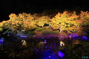 栗林公園のライトアップを見てきた