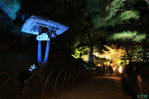 栗林公園のライトアップを見てきた