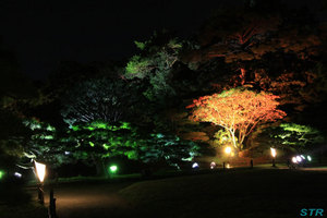 栗林公園のライトアップを見てきた