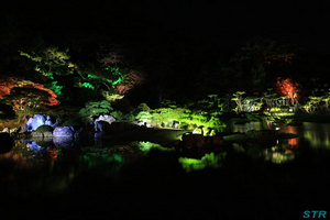 栗林公園のライトアップを見てきた