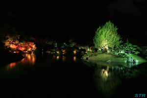 栗林公園のライトアップを見てきた