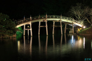栗林公園のライトアップを見てきた