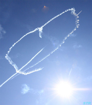 岐阜基地航空祭2011 前日予行