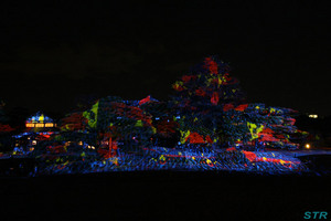 冬のクリスマス絵巻 in 栗林公園
