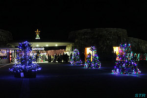 まんのう公園ウィンターファンタジー2011