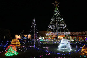 まんのう公園ウィンターファンタジー2011