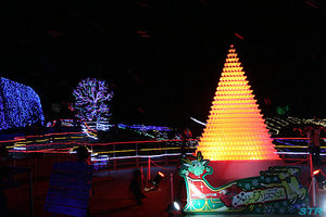 まんのう公園ウィンターファンタジー2011
