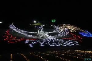 まんのう公園ウィンターファンタジー2011