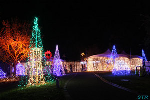 まんのう公園ウィンターファンタジー2011