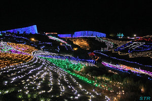まんのう公園ウィンターファンタジー2011