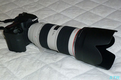 Canon EF70-200mm F2.8L IS II USM 購入