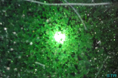 金星の太陽面通過を見てみましたが・・・