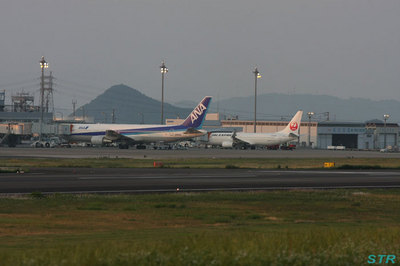 高松空港で鶴丸を見る