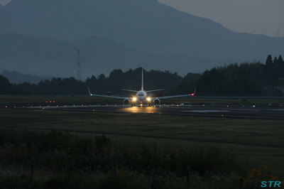 高松空港で鶴丸を見る