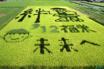 空ちゃん田んぼ2012