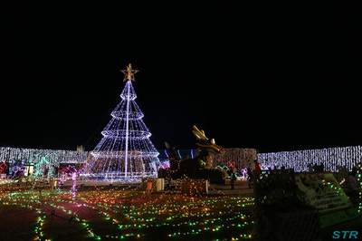 まんのう公園ウィンターファンタジー2012