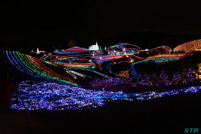 まんのう公園ウィンターファンタジー2012