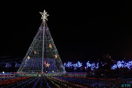 まんのう公園ウィンターファンタジー2013