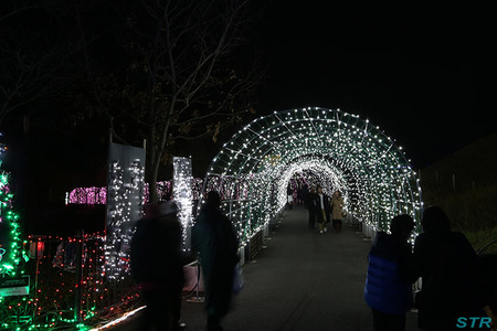 まんのう公園ウィンターファンタジー2013