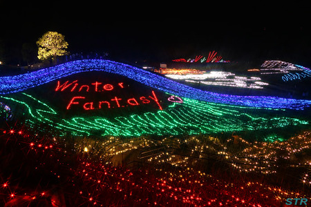 まんのう公園ウィンターファンタジー2013