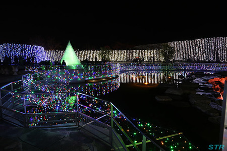 まんのう公園ウィンターファンタジー2013